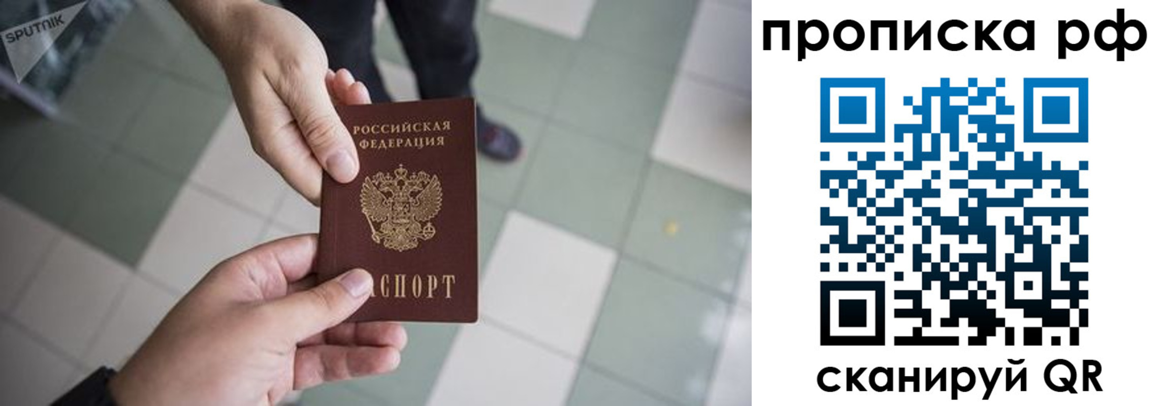 прописка гарантия в Благовещенске